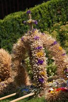 Uroczystości odpustowe ku czci wniebowzięcia NMP